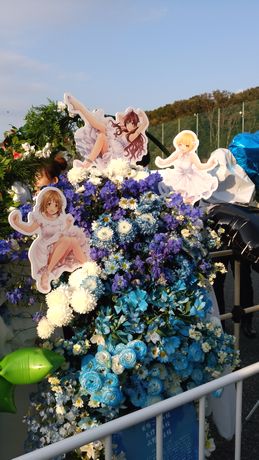 イメージ 6