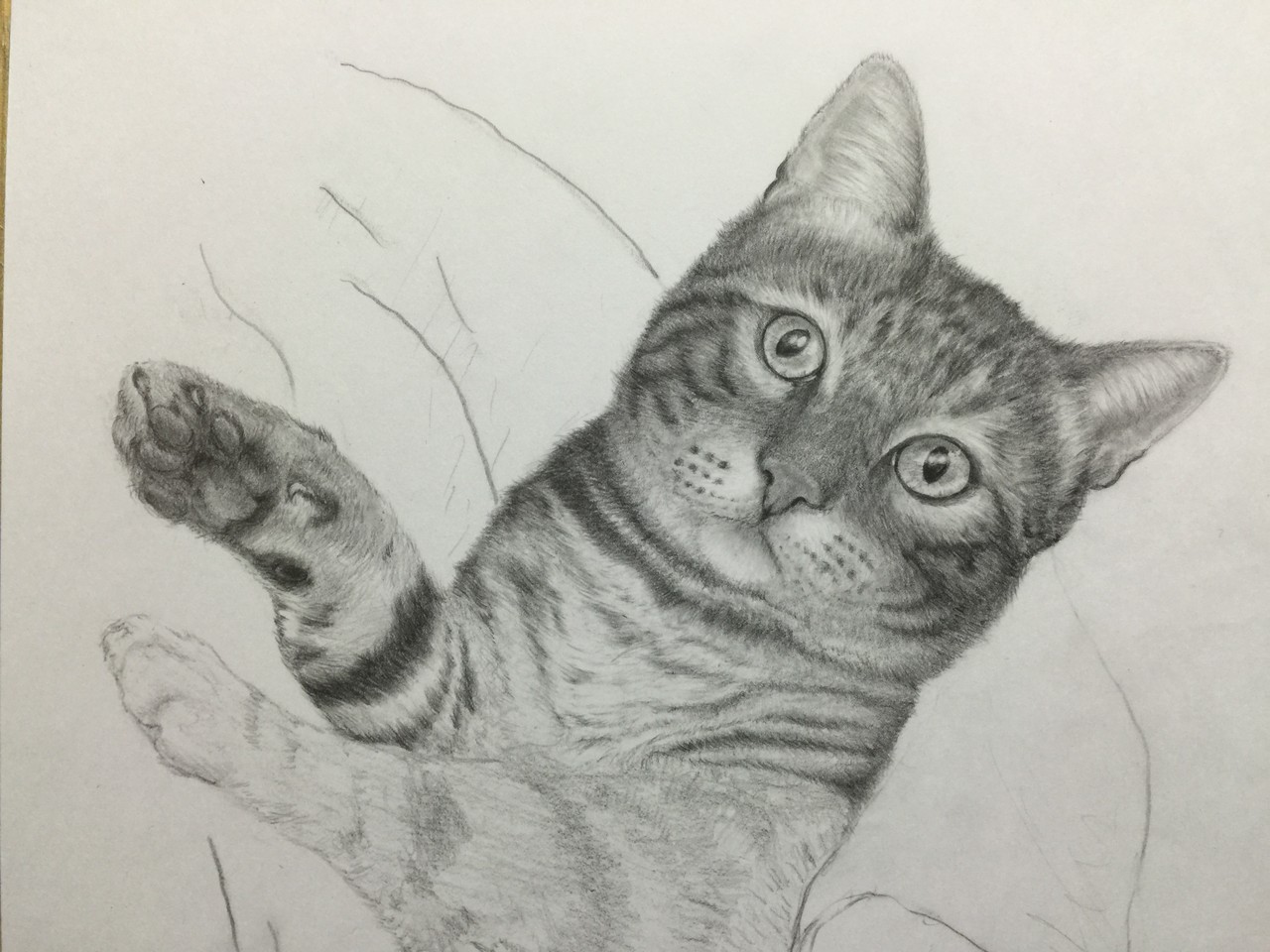 Sya 写 鉛筆画 Sya 写 鉛筆画