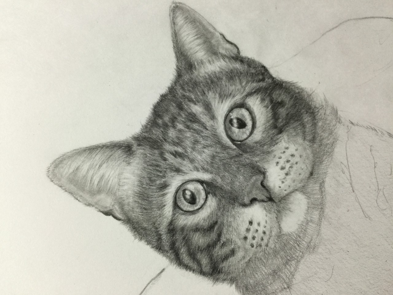 Sya 写 鉛筆画 Sya 写 鉛筆画