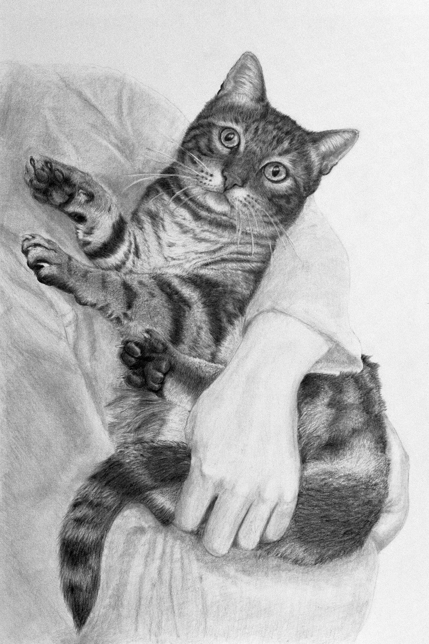 Sya 写 鉛筆画 Sya 写 鉛筆画