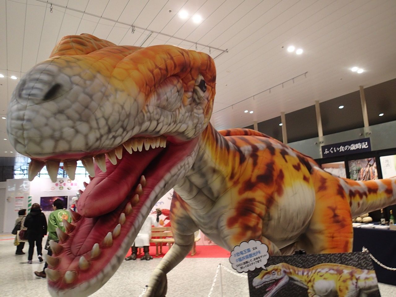 パスポート更新 Hibiki