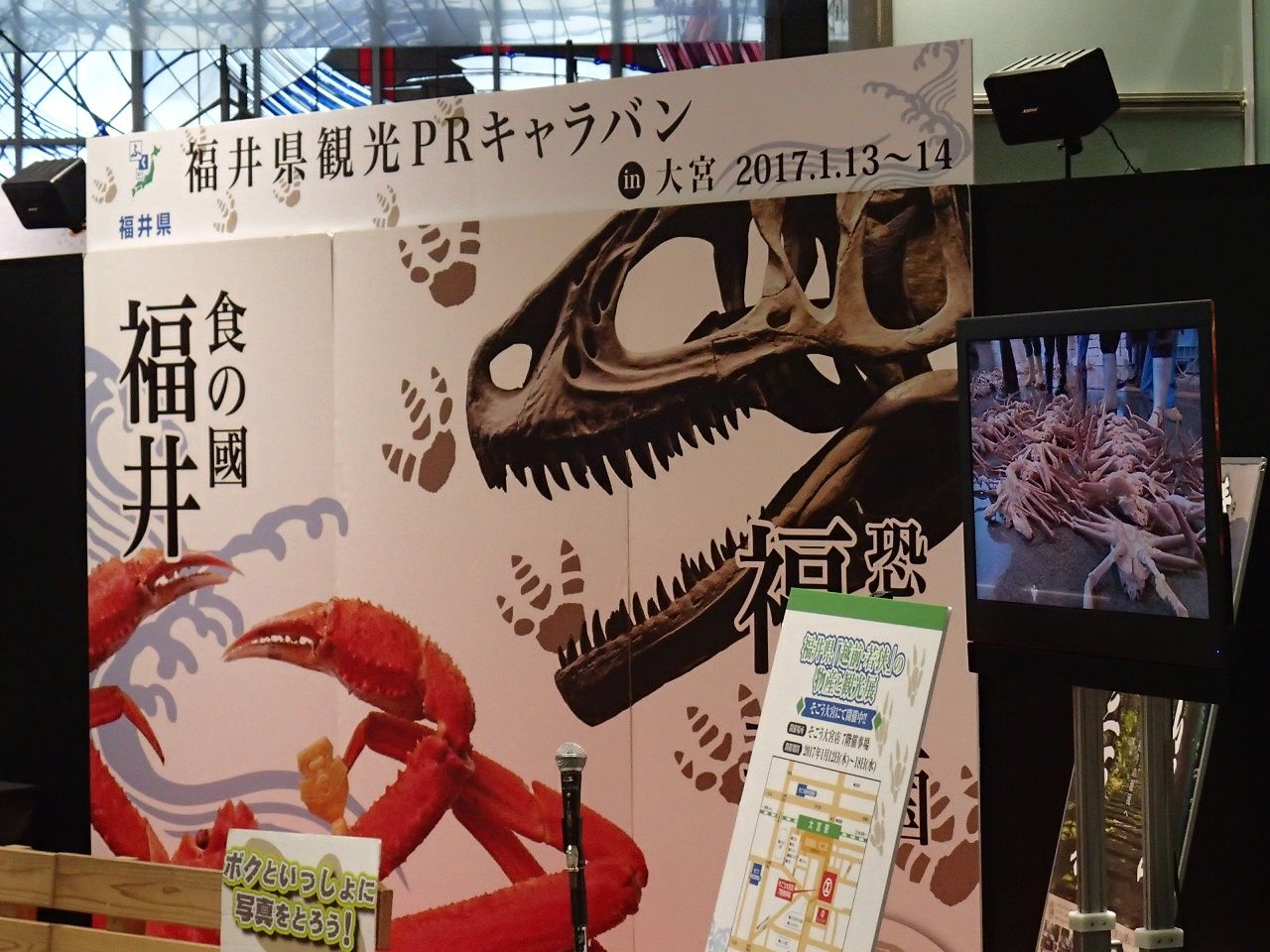 パスポート更新 Hibiki