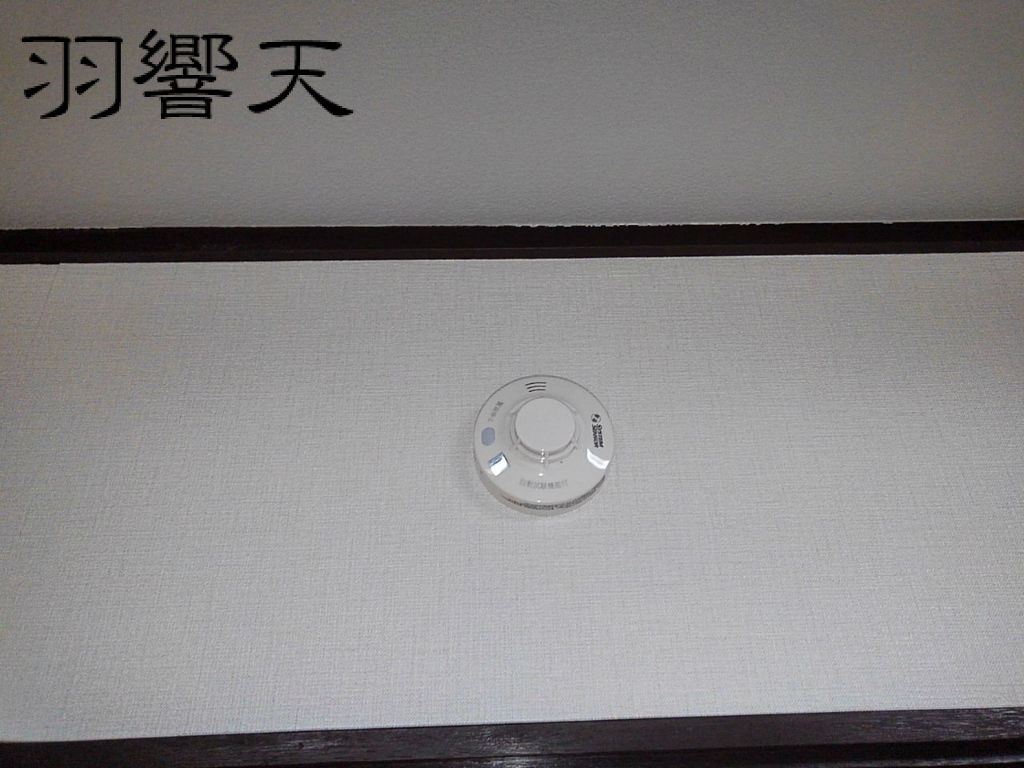 19年2月12 13日 書斎 壁紙 その Diy フィッシング羽響天 19年2月12 13日 書斎 壁紙 その Diy フィッシング羽響天