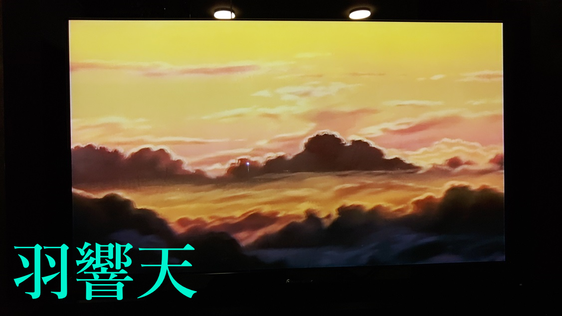 パイオニア ラストKURO専用 カラーセンサー KRP-SE01 Pioneer