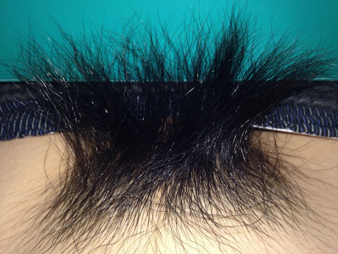 チン 毛 直 毛 - Best photos on dangerzonecomics.org