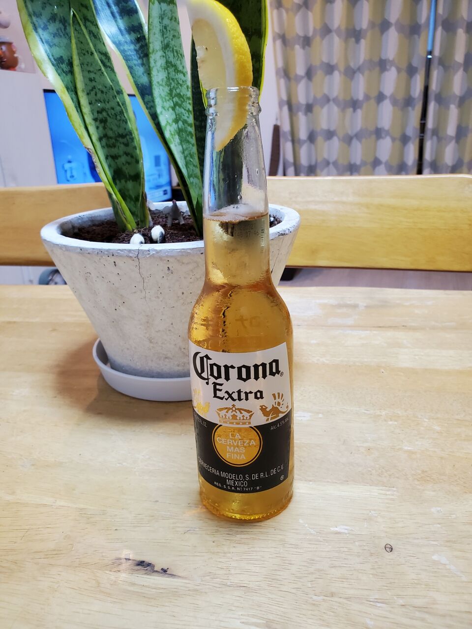 79円 【テレビで話題】 ビール コロナ エキストラ 4.6度 355ml瓶Corona Extra_あすつく対応※ 79円 【テレビで話題】 ビール コロナ エキストラ 4.6度 355ml瓶Corona Extra_あすつく対応※
