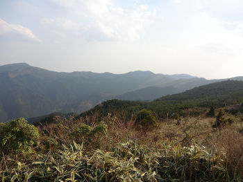 山カフェ「育児×仕事×田舎」カラフルな生き方デザイン♪ぽっちり堂漫画エッセイ