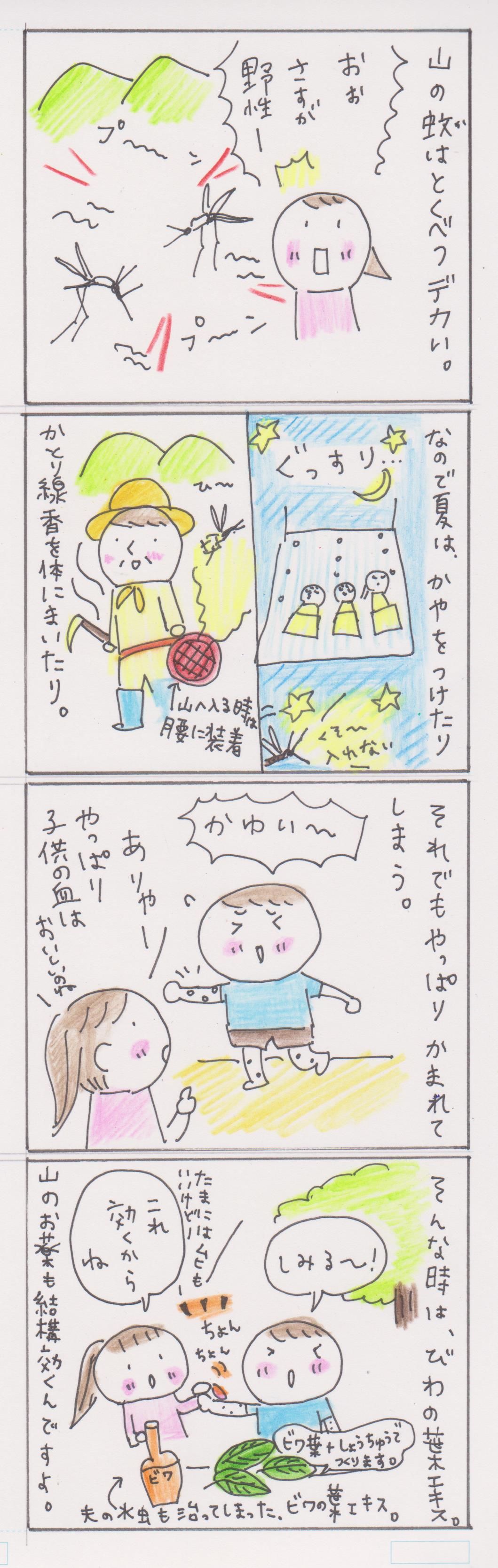 山のおばあちゃんに教えてもらう植物の効用 びわの葉エキスの作り方 ヒビノケイコの日々 人生は自分でデザインする 山のおばあちゃんに教えてもらう植物の効用 びわの葉エキスの作り方 ヒビノケイコの日々 人生は自分でデザインする