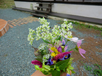 ぽっちり子育て&田舎暮らし漫画