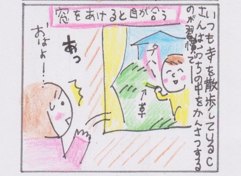 005