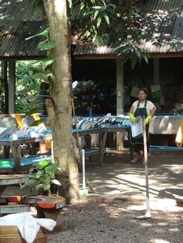 ぽっちり子育て＆田舎暮らし漫画