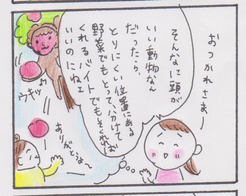 003