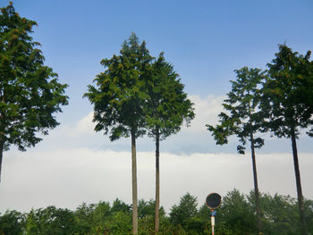 ぽっちり子育て&田舎暮らし漫画