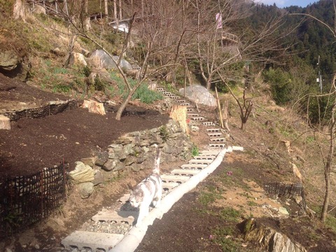 10349022_379772602230061_1986147111678434899_n