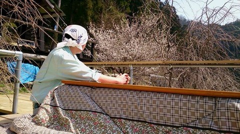 10289797_381044172102904_6020376475663244733_n