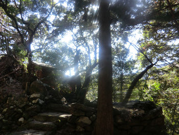 ぽっちり子育て&田舎暮らし漫画