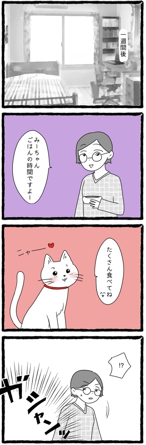 無題435_20250903065232