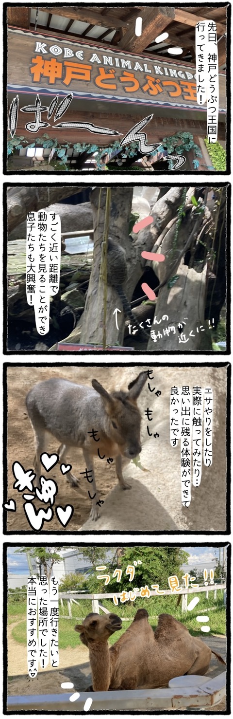 無題1191_20230828054706