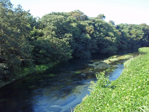 Kakita_river,_20110918_A