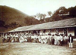 Slaves_in_coffee_farm_by_marc_ferrez_1885