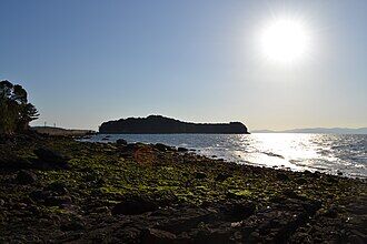 Koiji_Island_20230226