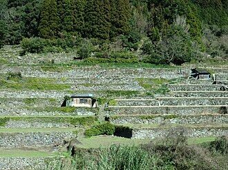 Rice_terraces_in_Minamata