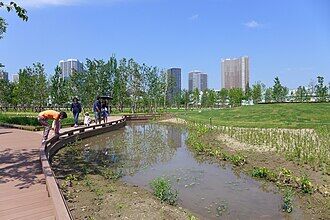 Shinagawa_Season_Terrace