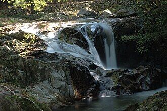 Momiji_Waterfall_in_Yaedaki