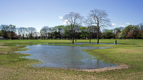 小金井公園・春の嵐_2013.04.07_10-51_-_panoramio