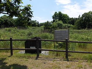 300px-Teineyamaguchi_Battaduka[1]