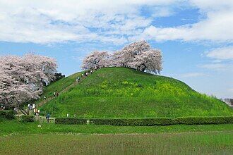 Gyoda_Maruhakayama_Tumulus