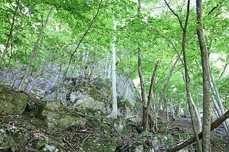 The_steep_slope_of_the_hillside