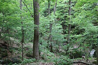 Uenonarahara_no_Shioji_