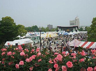 Fukuyama_rose_fair_in_2008
