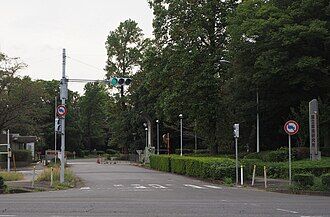 NIES-Tsukuba
