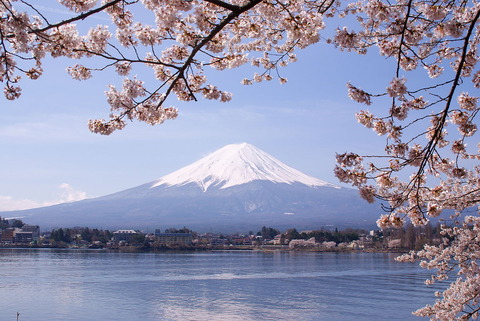 1200px-Lake_Kawaguchiko_Sakura_Mount_Fuji_3