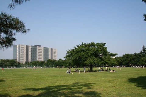 Mushashino_tyuo_koen