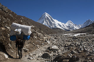 320px-Sherpa_Hikes_from_Dughla_Towards_Lobuche