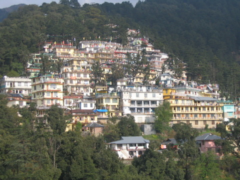 Domaro_en_McLeod_Ganj