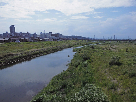 1200px-聖蹟桜ヶ丘の北を流れる多摩川130805