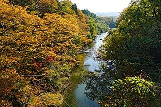 211029_Natori_River_Sendai_Miyagi
