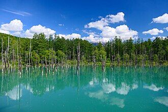 Shirogane-Blue-Pond_summer
