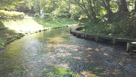1200px-Naibetsu_river_in_Meisui_Fureai_Park_20190728