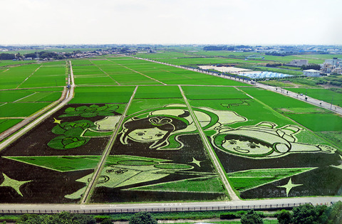 Gyoda_Saitama_Paddy_Field_Art