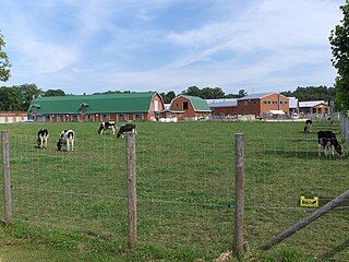 Rakunou_Gakuen_College