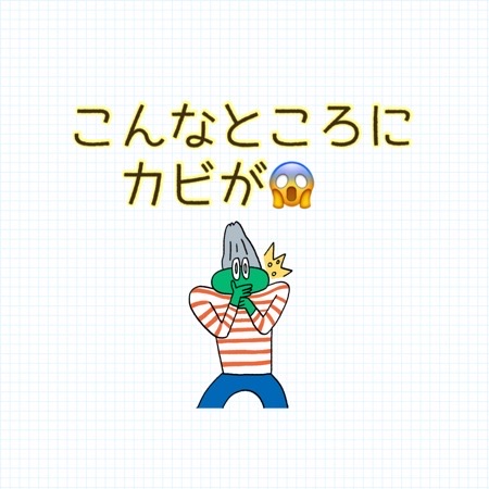 【汚画像有】こんなところにカビが！大ショック！