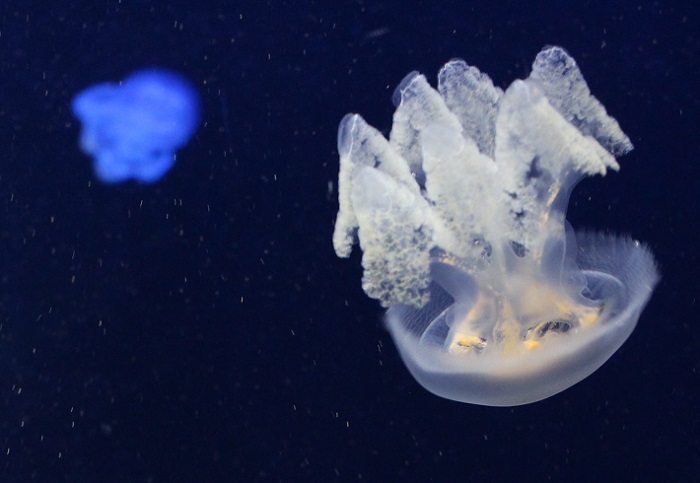 45d090b5.jpg