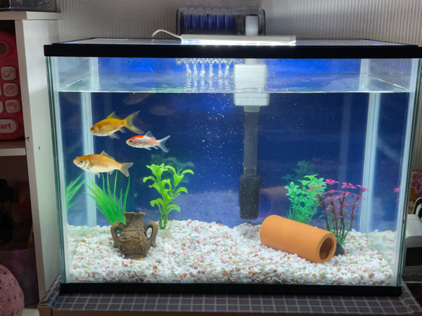 ◆夫がどんどん沼っていること…