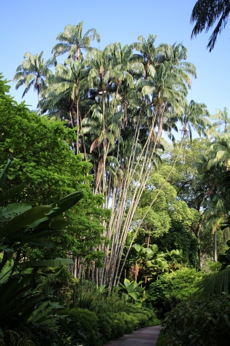 4_2015111709305757e.jpg