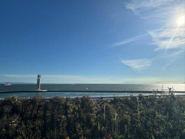 IMG_6671